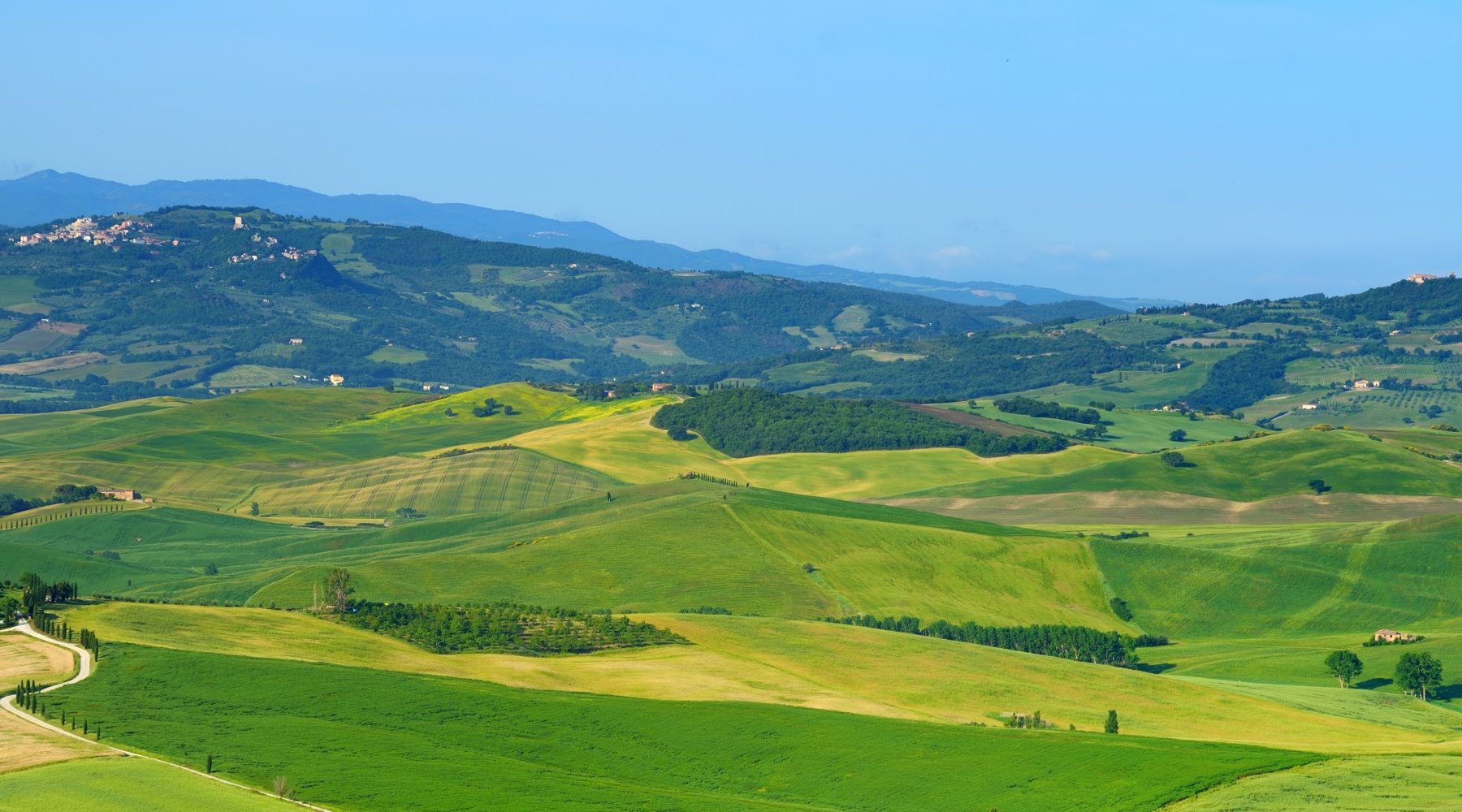 Territorio